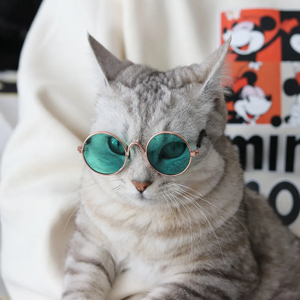 Arabian Style Pet Accessory Set Rhinestone Gem Collar With Headscarf For Cat Small Dog Party Photo Decor