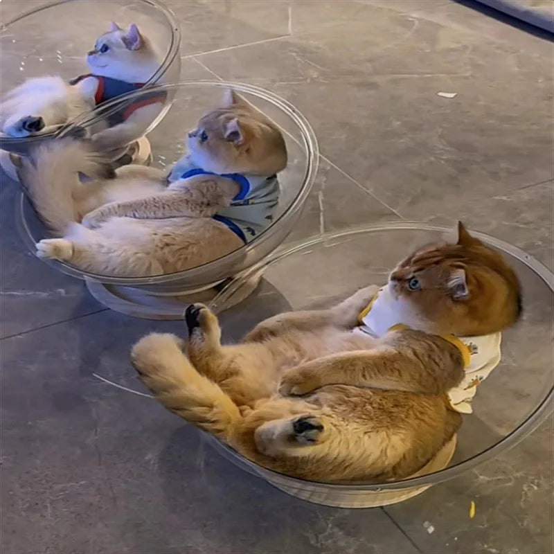 Clearance: Space Cabin Cat Bed, All-Season Transparent Ice-Acrylic Cat House with Wooden Turntable, Summer-Ready Cat Toy