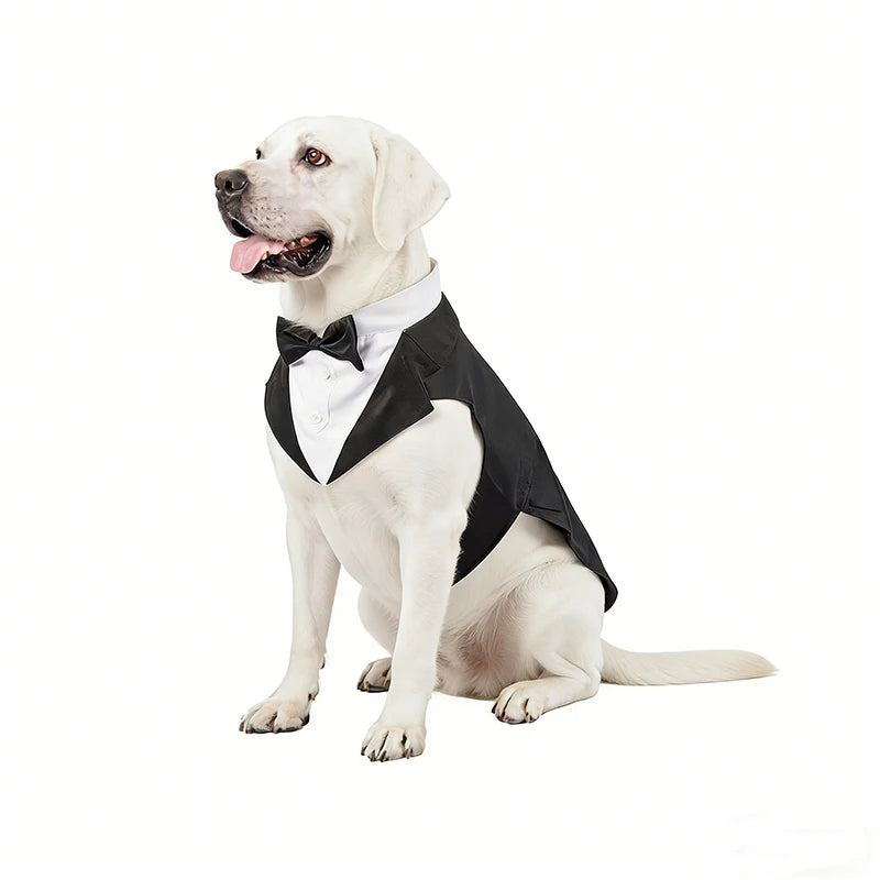 Royal Bow Tie Wedding Shirt for Dogs | Luxury Party Costume for Puppies & Small Breeds