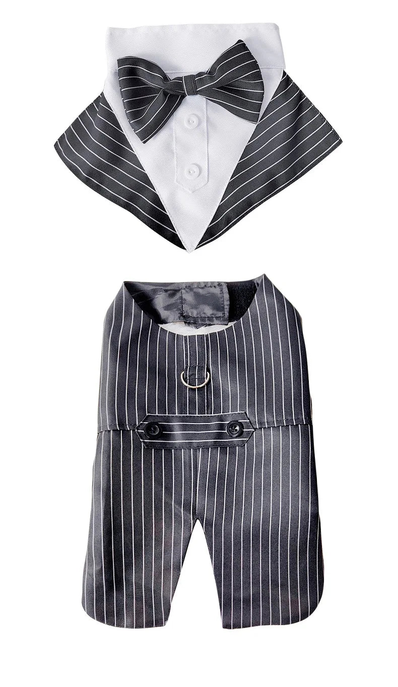 Royal Bow Tie Wedding Shirt for Dogs | Luxury Party Costume for Puppies & Small Breeds